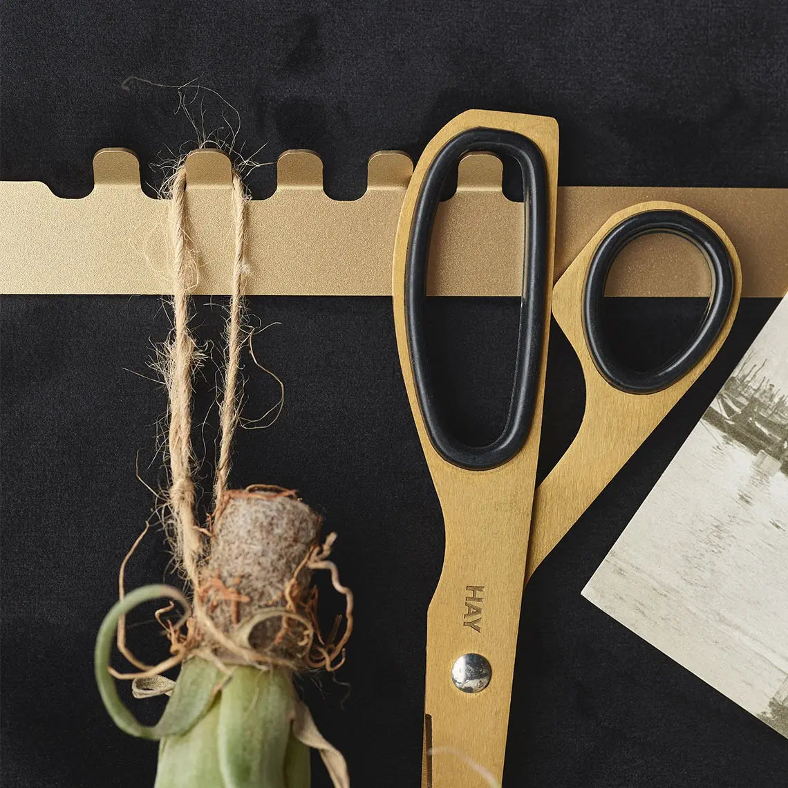 Padded Wall Boards Accessories - Decorative Strip 2 Gold on black panel closeup Decormania UK